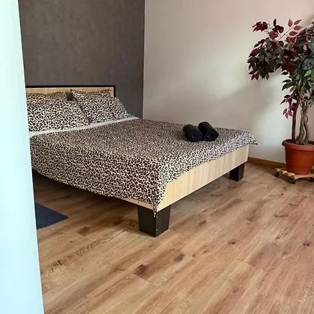 Budget Apartment Lemberg