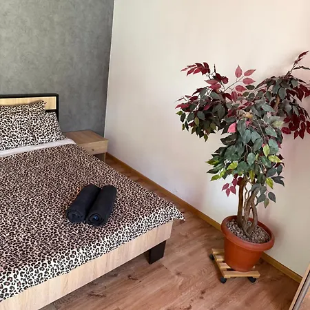 Budget Apartment *