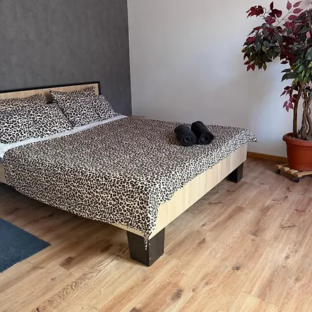 Apartment Budget