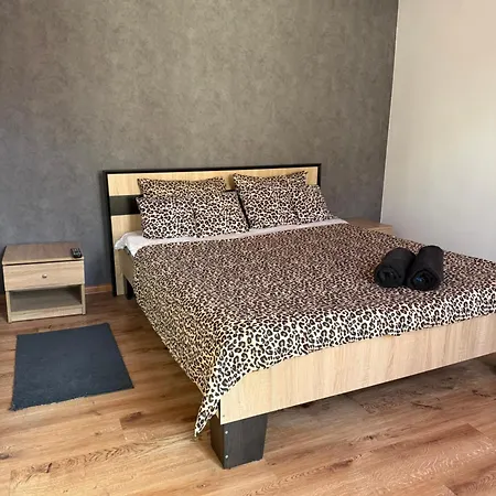 Budget Apartment Lemberg