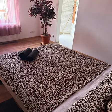 Budget Apartment *