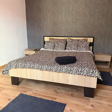 Budget Apartment Lemberg