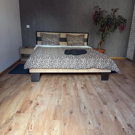Apartment Budget